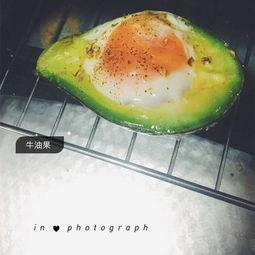 小呆瓜吃牛油果视频大全,视频大全回顾