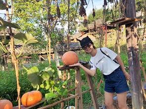 利川吃瓜视频李温柔,利川吃瓜视频背后的故事与魅力