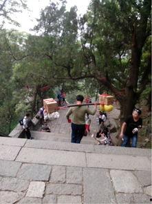 红石公园吃瓜事件视频播放,视频曝光引发网友热议